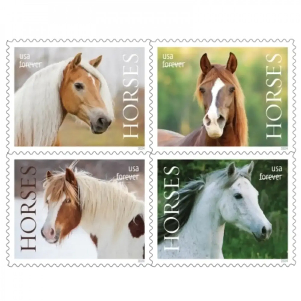 2024 Horses Stamps forever stamps 2024 Horses Stamps forever stamps