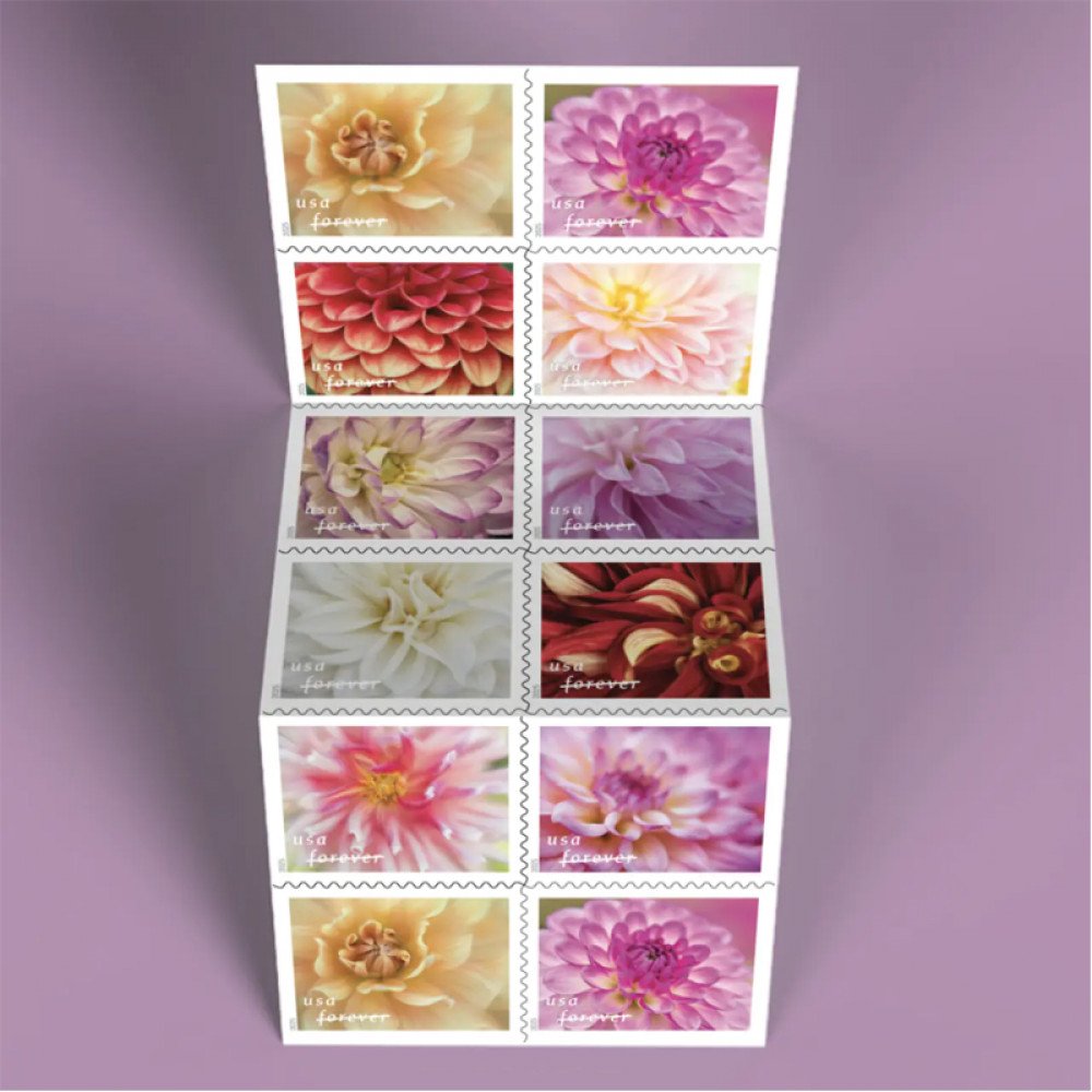 2025 Dahlias Stamps Book of 20 2025 Dahlias Stamps Book of 20