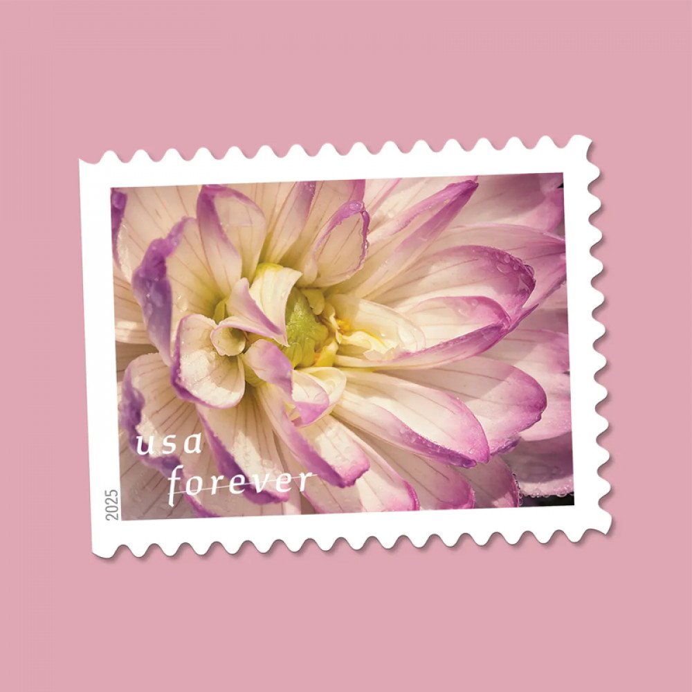 2025 Dahlias Stamps Book of 20 2025 Dahlias Stamps Book of 20