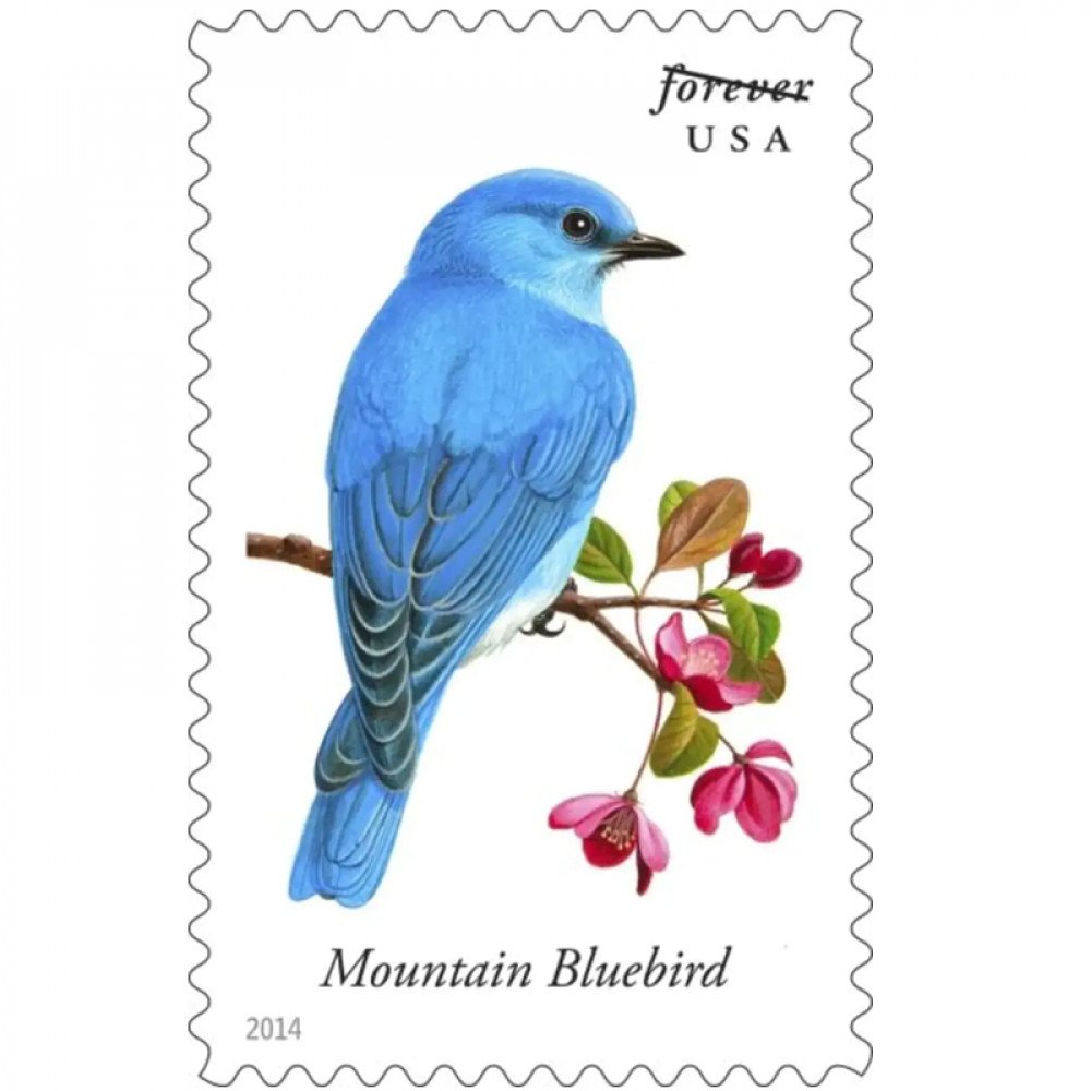 2014 Songbirds Forever Stamps 2014 Songbirds Forever Stamps