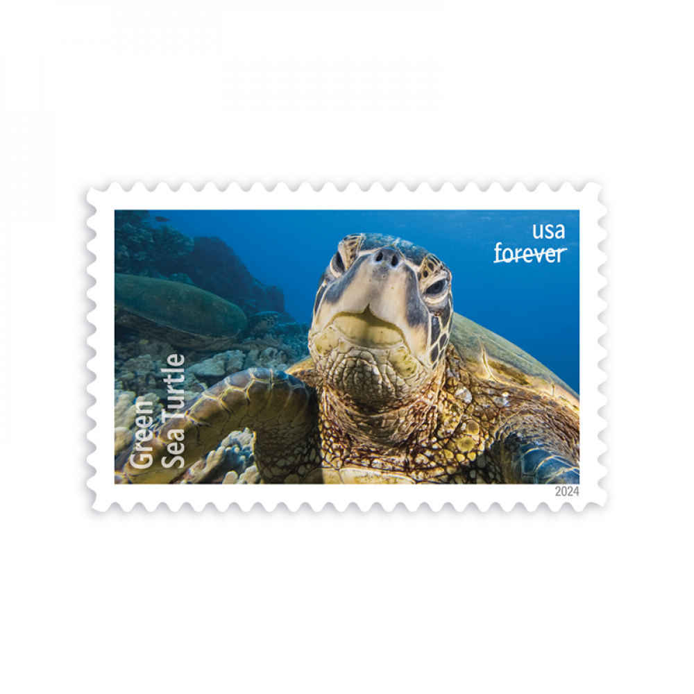 2024 Protect Sea Turtles Stamps 2024 Protect Sea Turtles Stamps