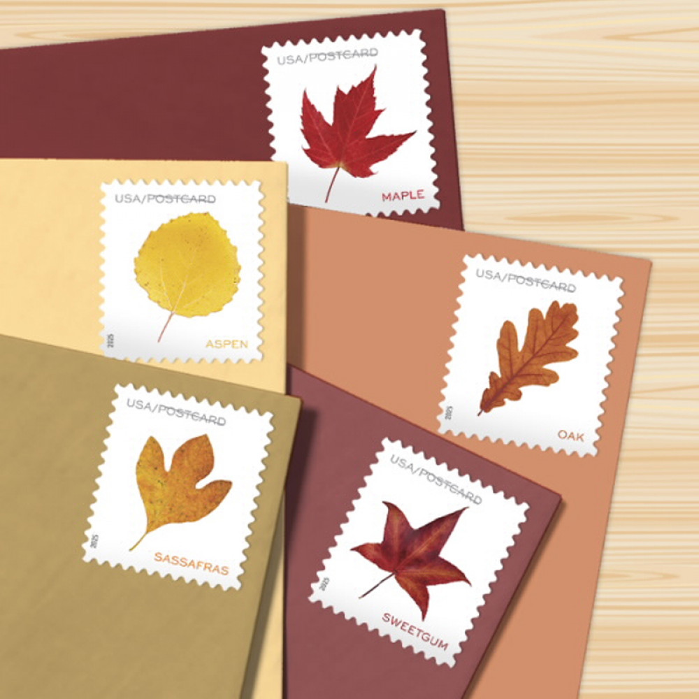 2025 Vibrant Leaves Postcard Stamps, 1 Roll of 100 Pcs Postcard |Multiple Stamp Designs andFormats 2025 Vibrant Leaves Postcard Stamps, 1 Roll of 100 Pcs Postcard |Multiple Stamp Designs andFormats