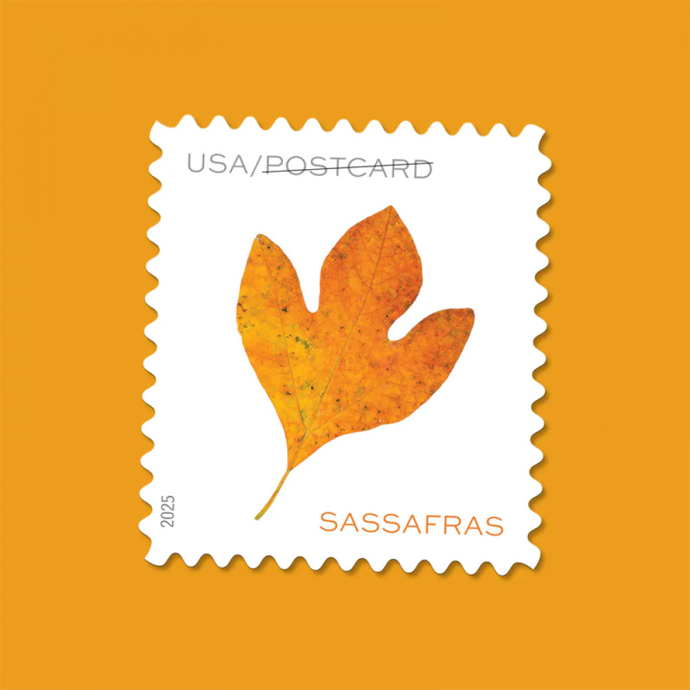 2025 Vibrant Leaves Postcard Stamps, Sheetof 20 Postcard |Multiple Stamp Designs and Formats 2025 Vibrant Leaves Postcard Stamps, Sheetof 20 Postcard |Multiple Stamp Designs and Formats
