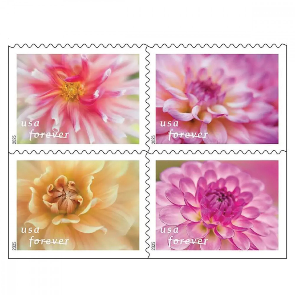 2025 Dahlias Stamps Book of 20 2025 Dahlias Stamps Book of 20